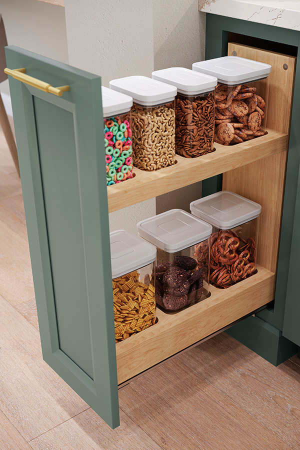 BaseContainerOrgRussMPLEvaS