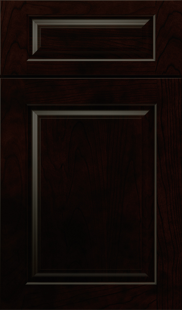 plaza_5pc_cherry_raised_panel_cabinet_door_sumatra