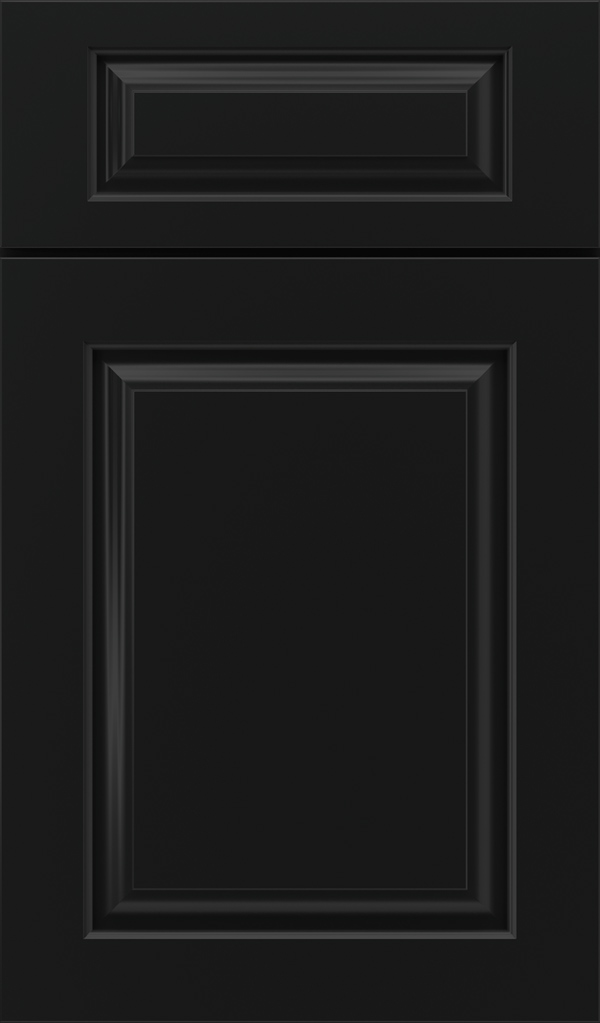 plaza_5pc_maple_raised_panel_cabinet_door_jet