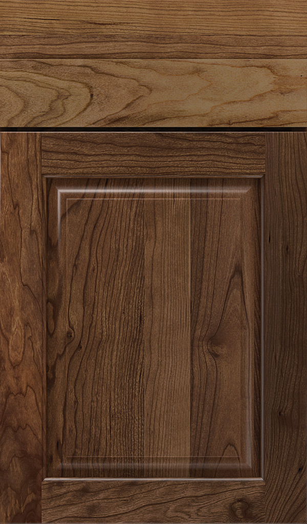 plaza_cherry_raised_panel_cabinet_door_mink