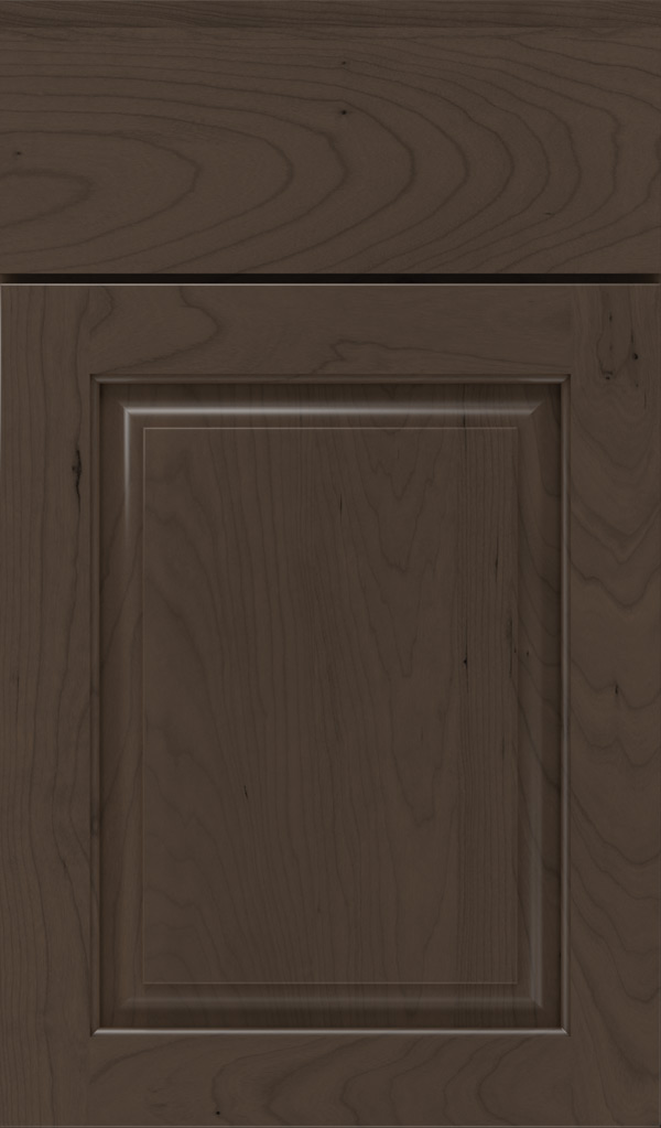 plaza_cherry_raised_panel_cabinet_door_shadow