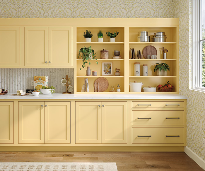 Yellow Kitchen Pantry